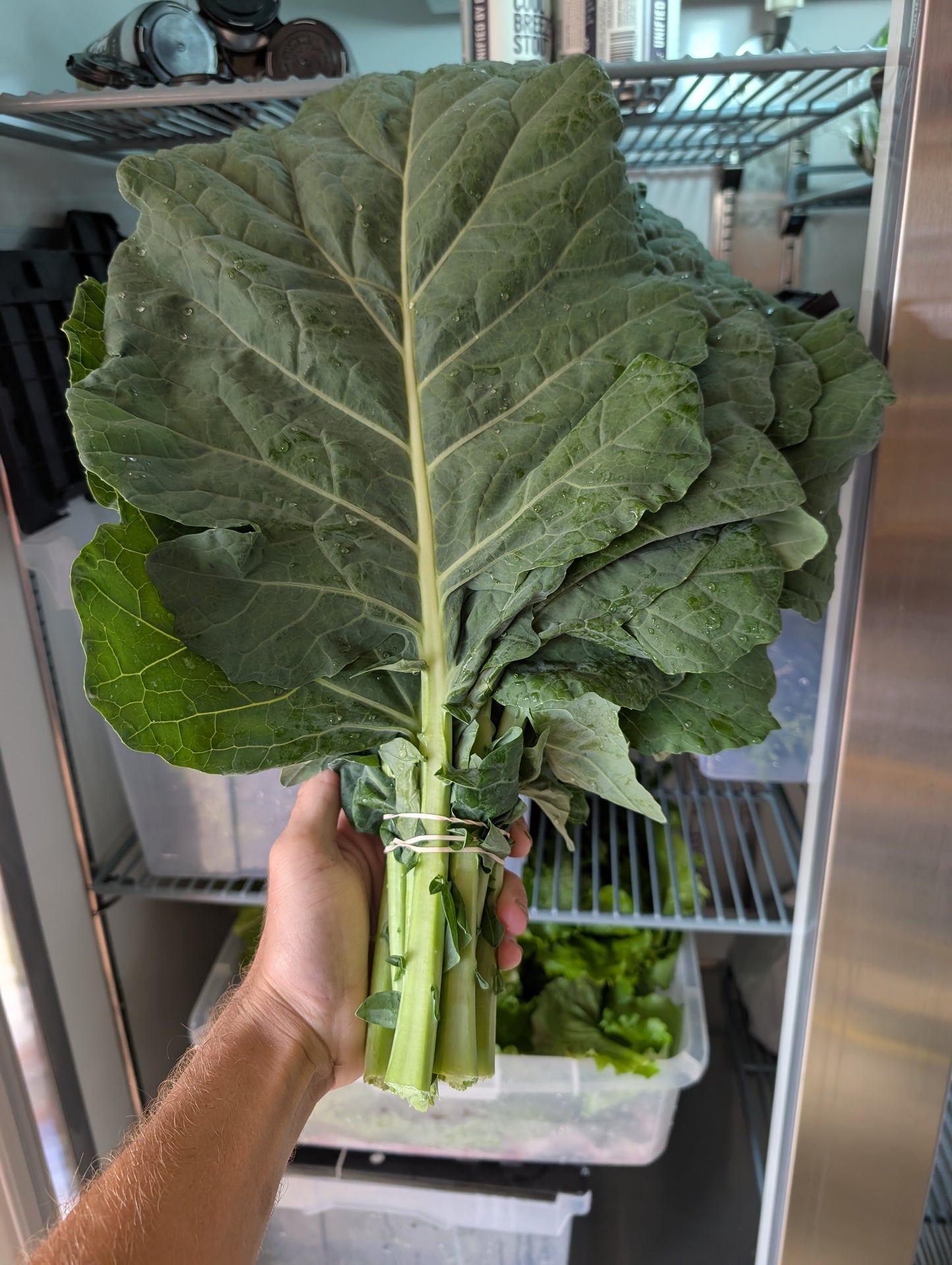 Collard Bunch