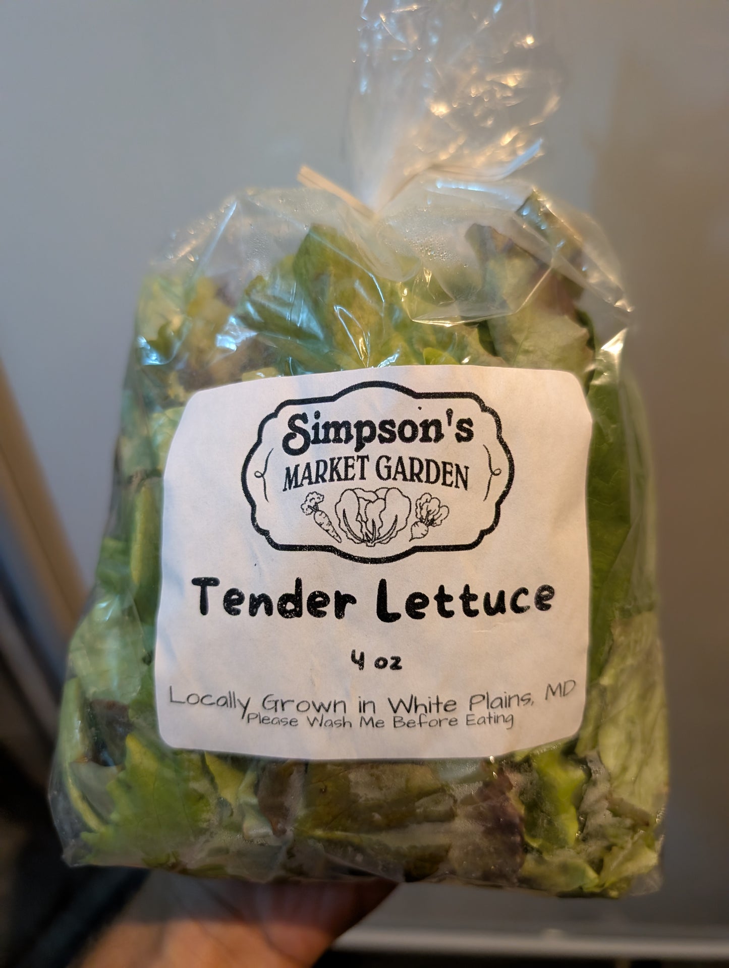 Tender Lettuce