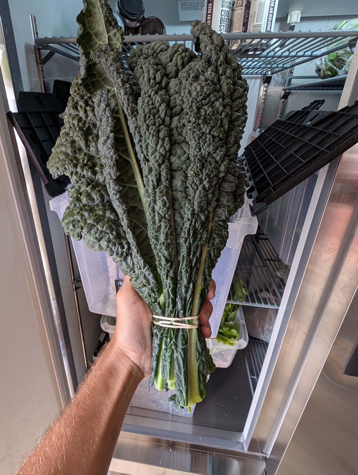 Lacinato Kale