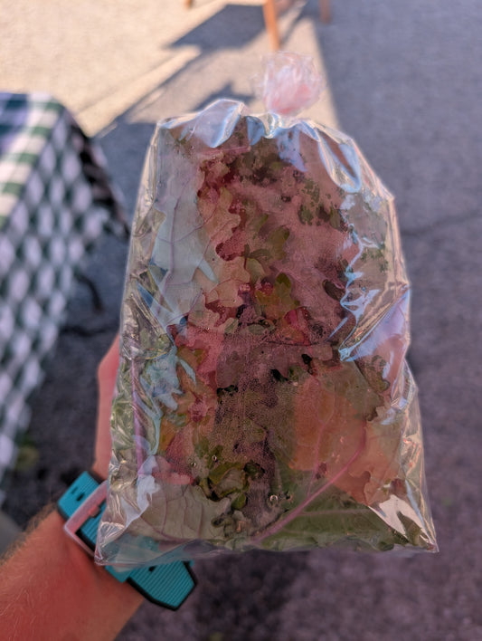Baby Kale