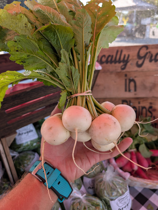 Hakurei Turnip Bunch