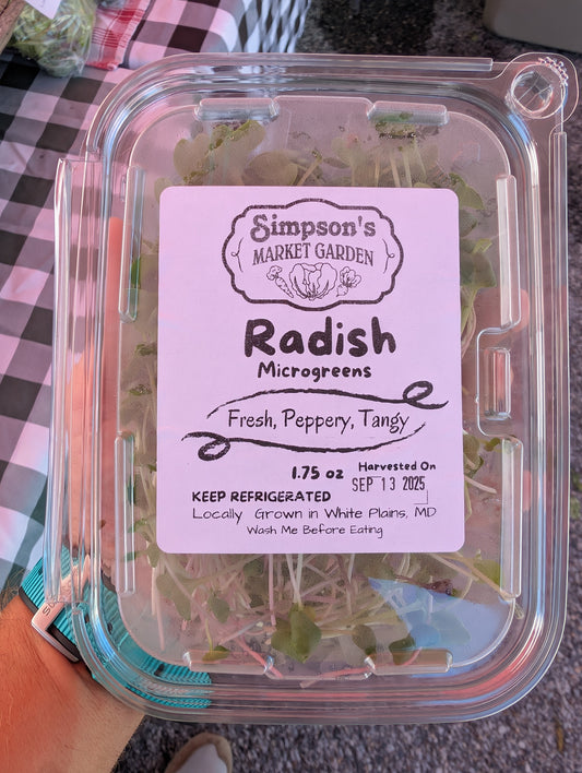 Radish Microgreen's