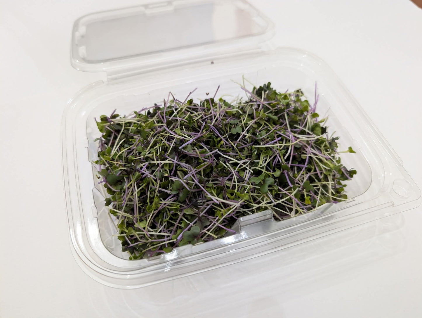 Asian Mix Microgreen's