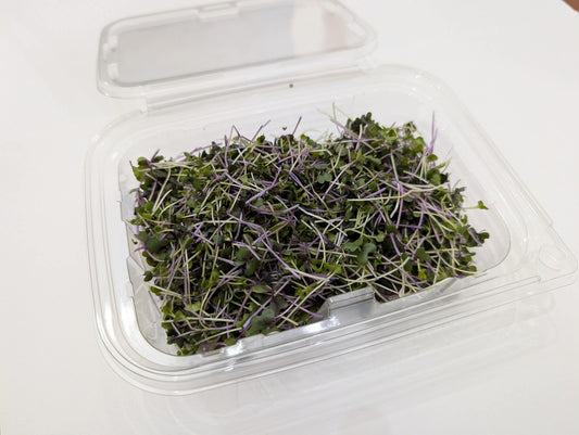 Asian Mix Microgreen's