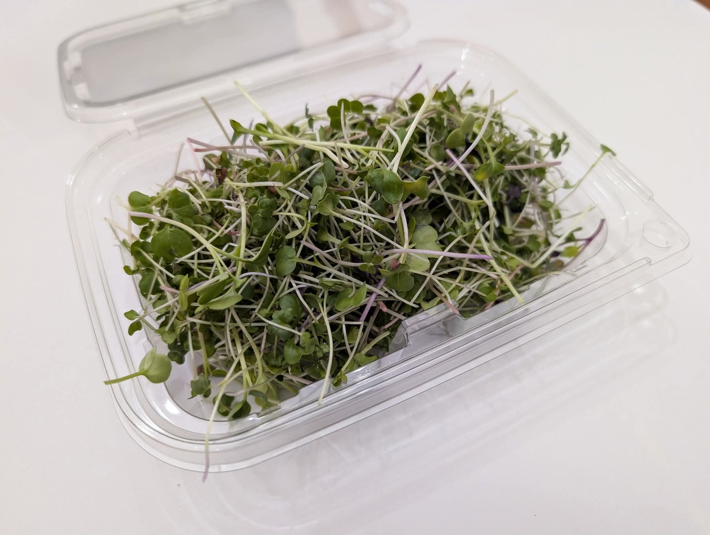 Superfood Mix Microgreen's