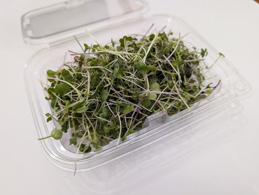 Superfood Mix Microgreen's