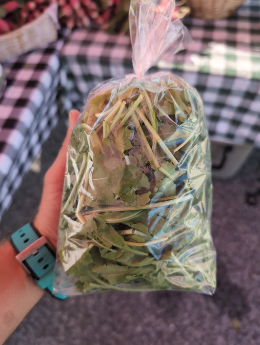 Arugula